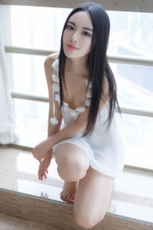 后宫露营动漫_DVD在线视频播放