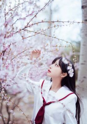 最美乡村电视剧在线观看免费观看_BD韩语电影完整版在线观看